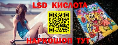 шишки Тверь