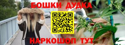 шишки Тверь