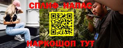 шишки Тверь