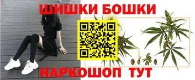 шишки Тверь