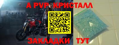 шишки Тверь