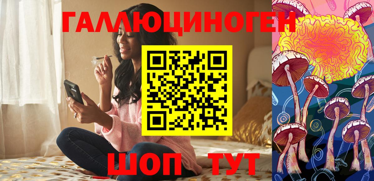 Балашиха  Псилоцибиновые грибы прущие грибы  Вход с VPN 