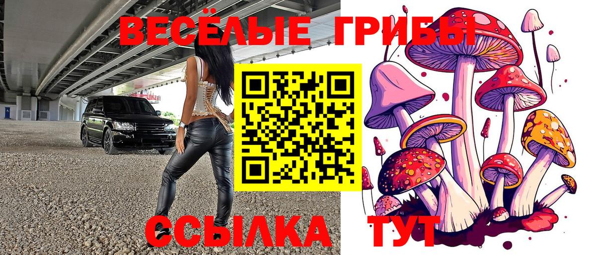 Псилоцибиновые грибы GOLDEN TEACHER Балашиха